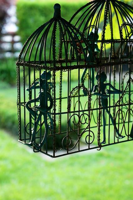 I spy with my little eye #9 DSC09483