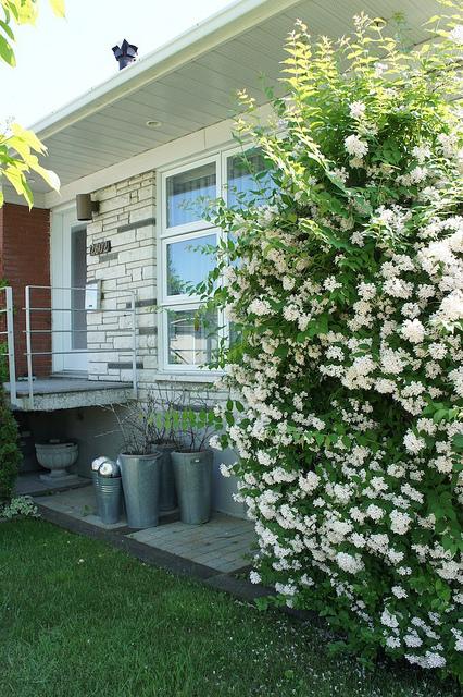 I spy with my little eye #9 DSC07581