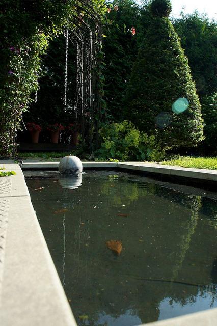 I spy with my little eye #9 DSC09301