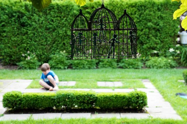 I spy with my little eye #9 DSC09479