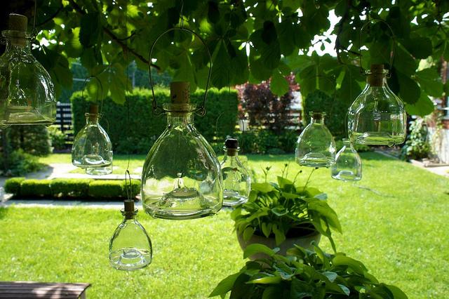 I spy with my little eye #9 DSC09262