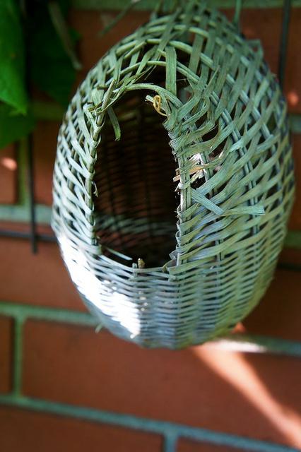 I spy with my little eye #9 DSC09340