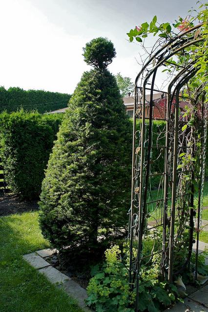 I spy with my little eye #9 DSC09272