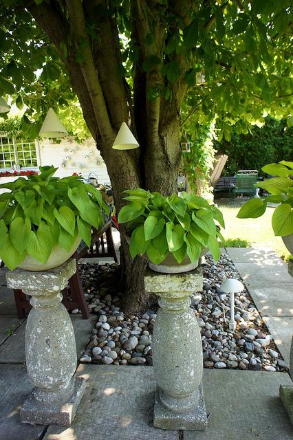 I spy with my little eye #9 DSC07618