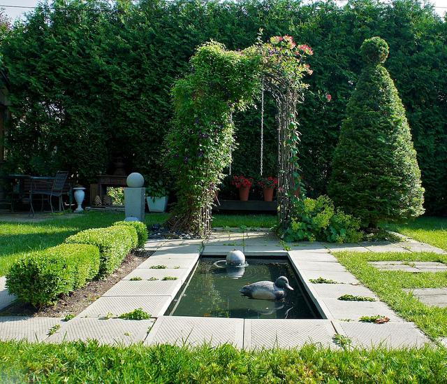 I spy with my little eye #9 DSC09253