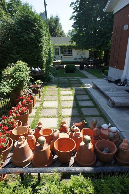 I spy with my little eye #9 DSC07597