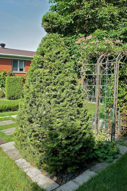 I spy with my little eye #9 DSC09271