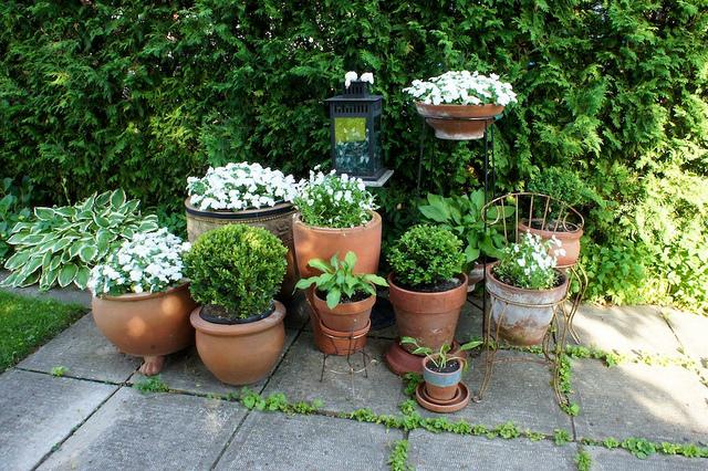 I spy with my little eye #9 DSC09315