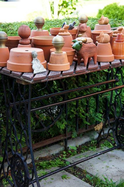 I spy with my little eye #9 DSC09348