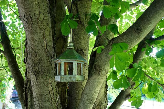 I spy with my little eye #9 DSC09269