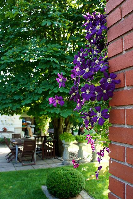 I spy with my little eye #9 DSC09256