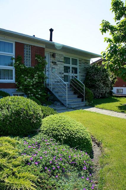 I spy with my little eye #9 DSC07575