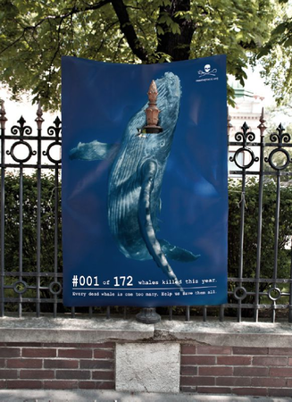 Sea Sheperd et sa nouvelle campagne seasheperd31