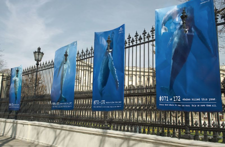 Sea Sheperd et sa nouvelle campagne seasheperd7