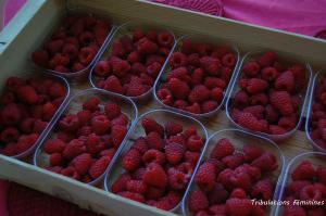 Framboises Bled Love