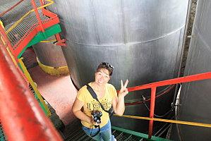 visite de Damoiseau à le moule damoiseau-gardel 072