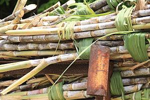 visite de Damoiseau à le moule damoiseau-gardel 096