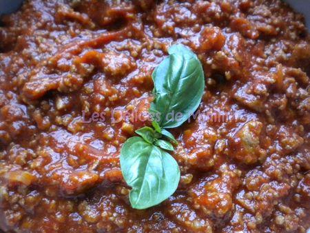 Sauce bolognaise à ma façon DSCN3769bis
