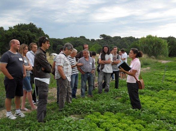 Deuxièmes rencontres Méditerrabio : encore une belle journée ! mediterrabio