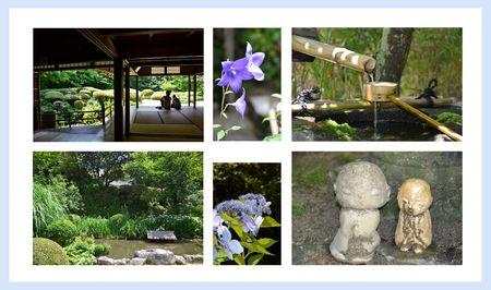 Carte postale n° 5 : rien qui ne m'appartienne au Shisen-Dô ... Sans_titre_1