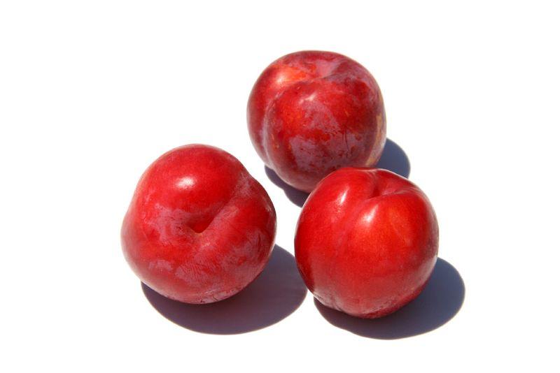 Red plum prune rouge