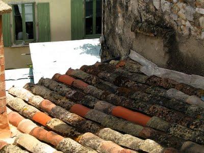 Modestine chasse Modestine chasse