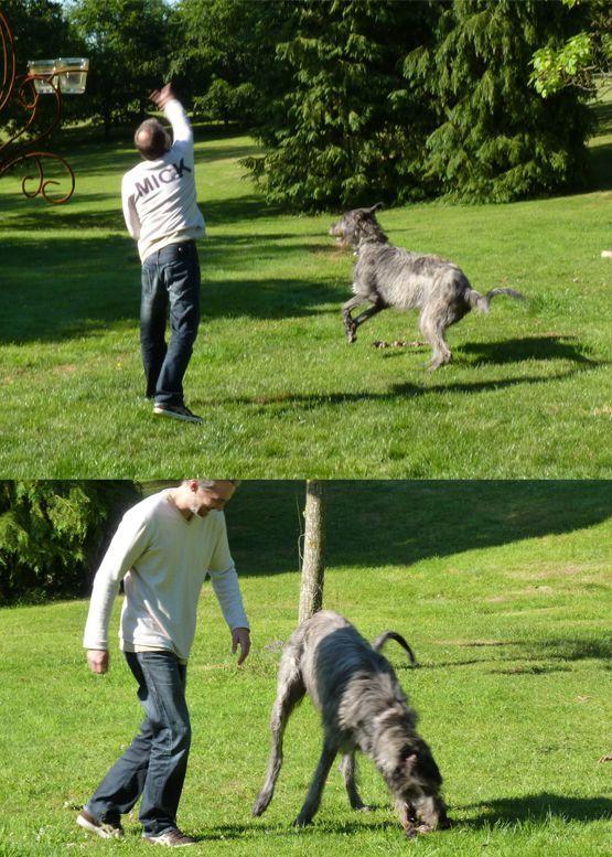 Flaubert grandit 222