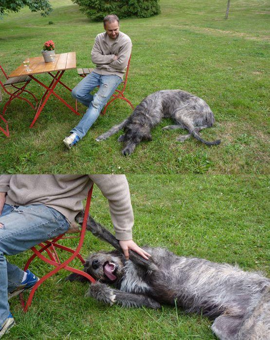 Flaubert grandit 111