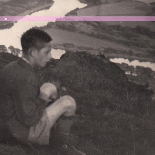 Tan Dollar - Cursed Tan Dollar – Cursed