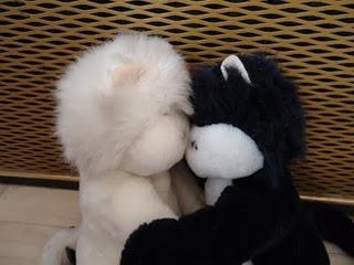 Mice and cats Mice and cats