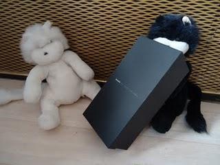 Mice and cats Mice and cats