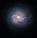 Galaxie spirale NGC 3982 Galaxie spirale NGC 3982