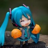 DSC0101 2 160x160 July 2011 : Walk with Miku Charity