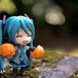 DSC01551 160x160 July 2011 : Walk with Miku Charity