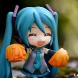 DSC0149 160x160 July 2011 : Walk with Miku Charity