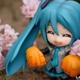 DSC02631 160x160 July 2011 : Walk with Miku Charity