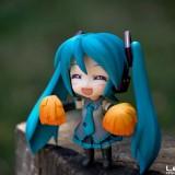 DSC0091 2 160x160 July 2011 : Walk with Miku Charity