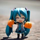 DSC0209 160x160 July 2011 : Walk with Miku Charity