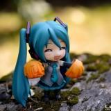 DSC0151 160x160 July 2011 : Walk with Miku Charity