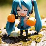 DSC01431 160x160 July 2011 : Walk with Miku Charity