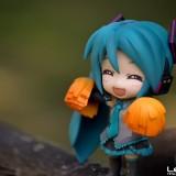 DSC01832 160x160 July 2011 : Walk with Miku Charity