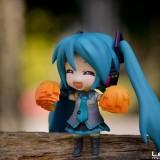 DSC01601 160x160 July 2011 : Walk with Miku Charity