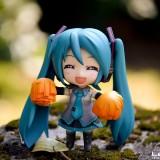DSC0135 2 160x160 July 2011 : Walk with Miku Charity