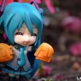 DSC0245 160x160 July 2011 : Walk with Miku Charity