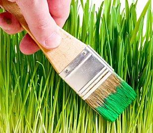 La responsabilité sociale des entreprises : une supercherie ? greenwashing_sanslicence.jpg