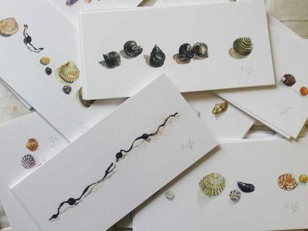 coquillages et crustacés carte-beatrice-giffo