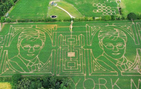 harry potter corn maze Harry Potter dans un champ de maïs