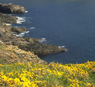 Préserver la biodiversité méditerranéenne... mer,méditerranée,pollution,biodiversité,pêche,cnrs