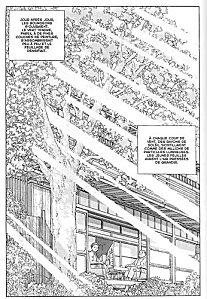 L’orme du Caucase de TANIGUCHI et UTSUMI orme_du_caucase-1.jpg