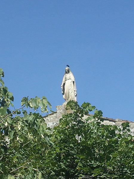 DSCF8503.JPG